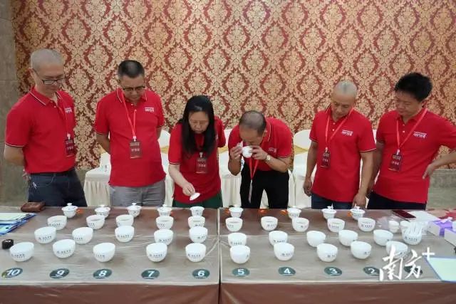 茶叶专家评委对参赛茶样进行品鉴。 图片